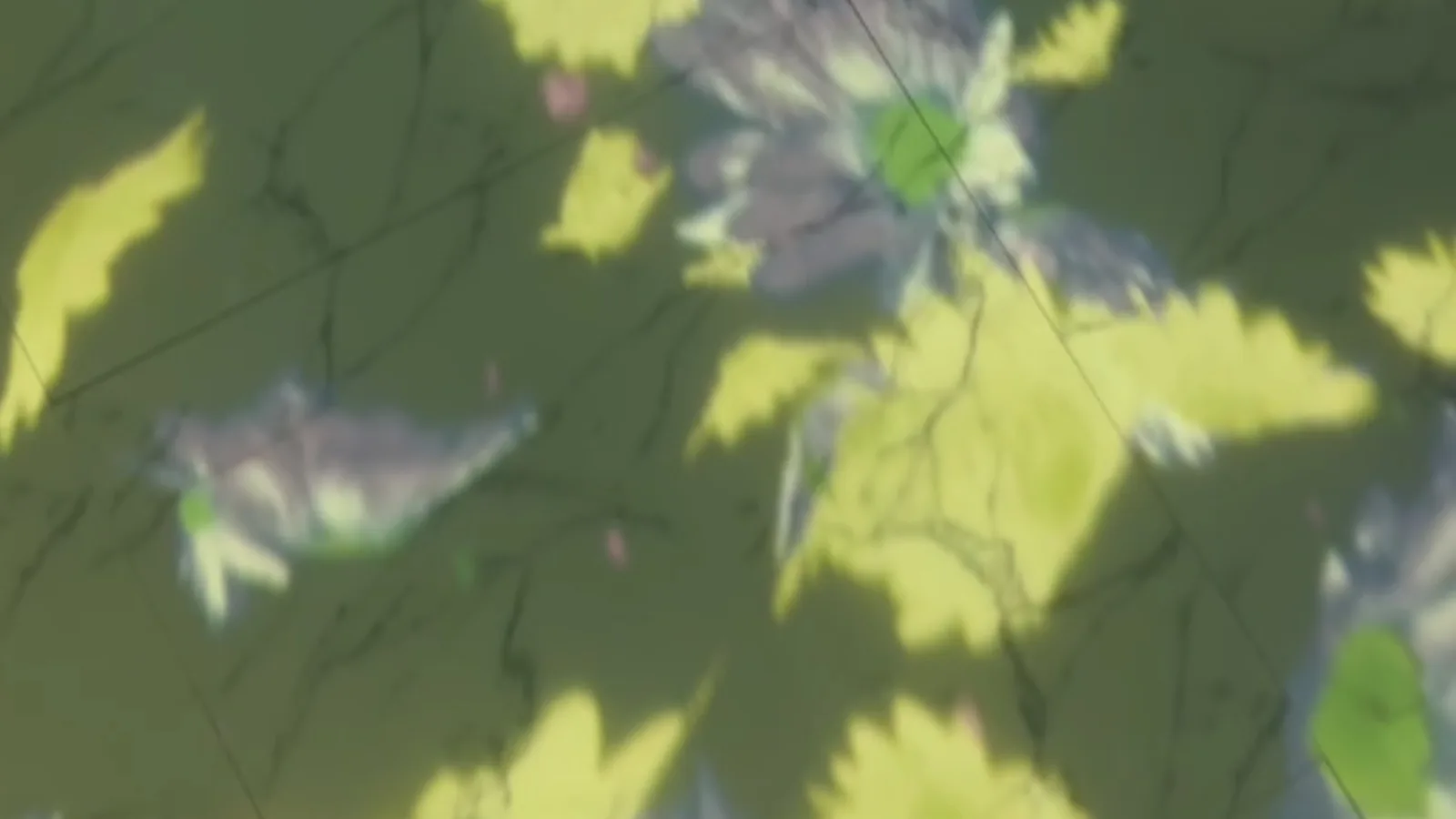 FlowerFloor